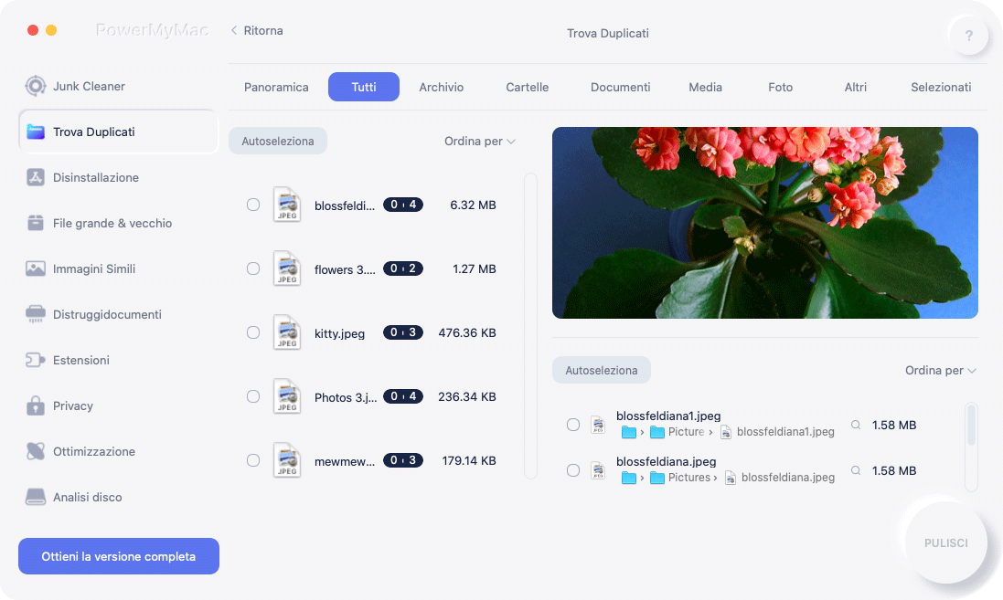 Visualizza l'anteprima dei file duplicati