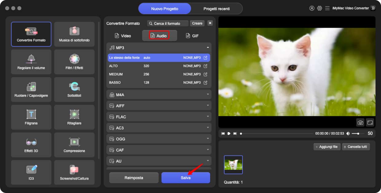 Converti MKV in AAC utilizzando iMyMac Video Converter