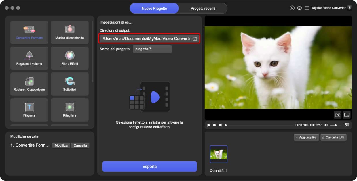 Converti OGG in MPEG con iMyMac Video Converter