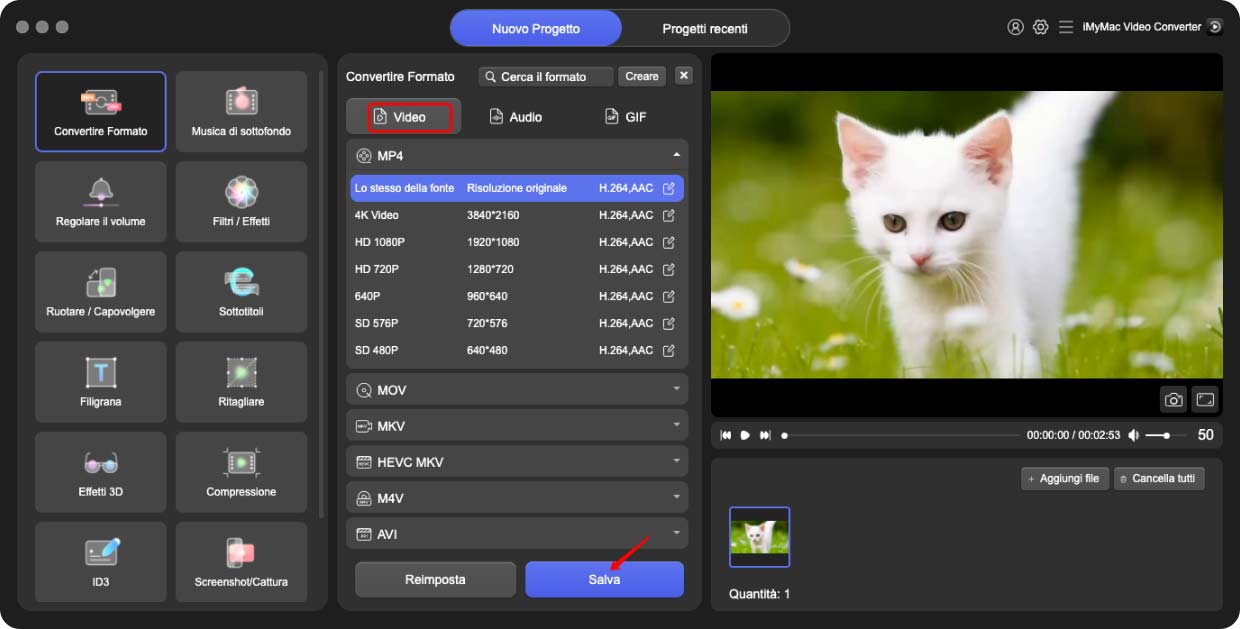 Seleziona MP4 come formato di output