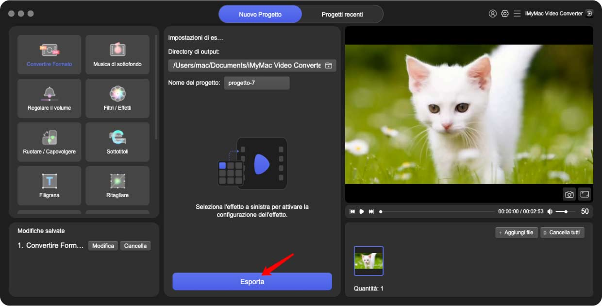 Converti MPG in MP4