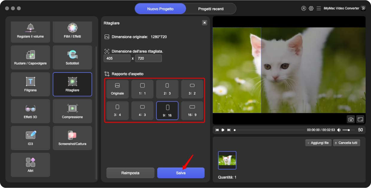 Un convertitore video all-in-one per Mac/Windows