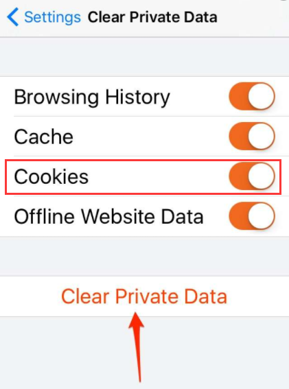 Eliminare i cookie in Firefox su iPhone