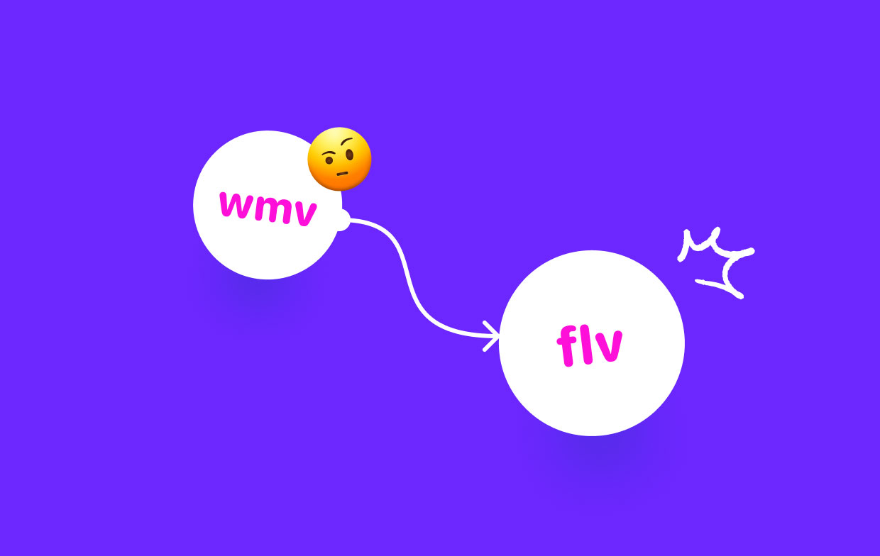 Una guida completa per convertire WMV in FLV