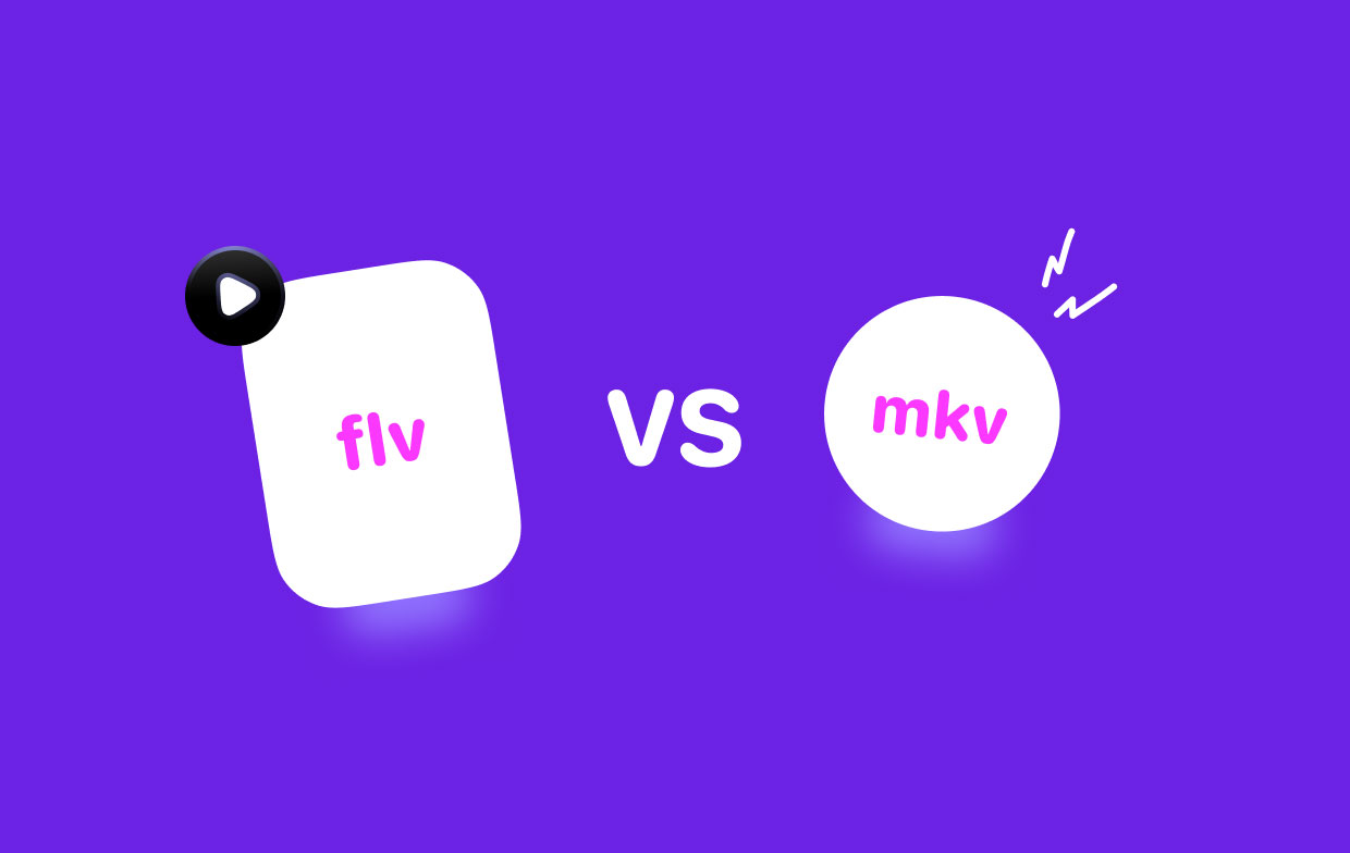 FLV contro MKV