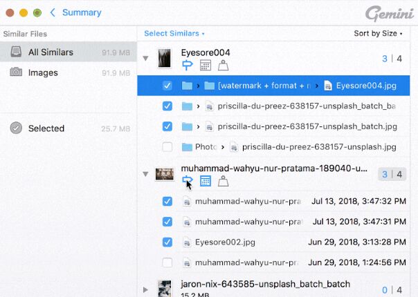 Elimina video duplicati con Gemini 2