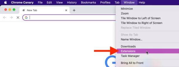 Disinstalla Binarymove Virus su Chrome