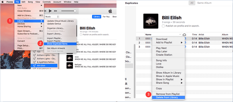 Pulisci iTunes manualmente