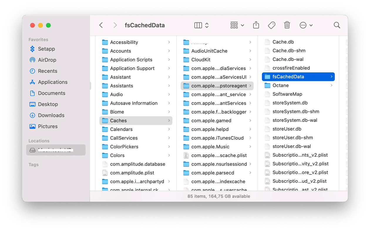 Rimuovi fsCachedData per cancellare la cache di Apple Music