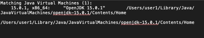 Controlla la versione prima di disinstallare AdoptOpenJDK su Mac
