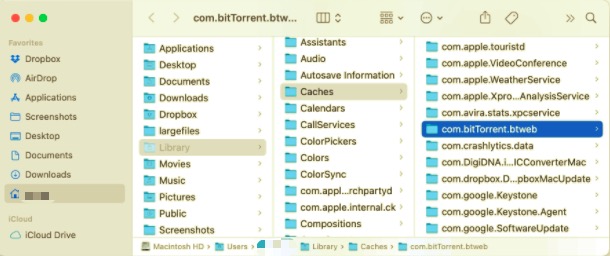 Disinstalla BitTorrent con tutti i file correlati