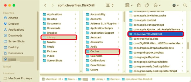 Disinstalla Disk Drill su Mac con Service Files