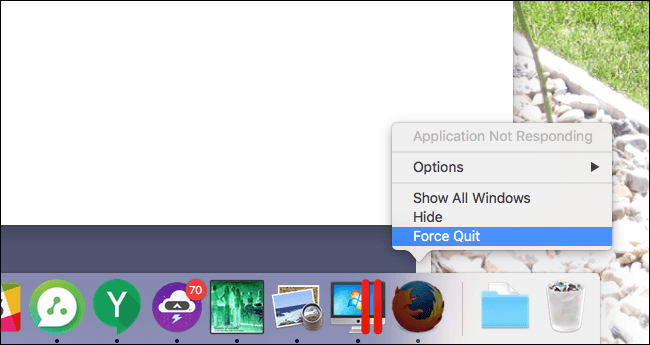 Force Quit Dock