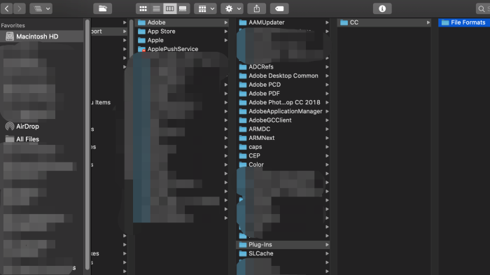 Come disinstallare manualmente Camera Raw su Mac