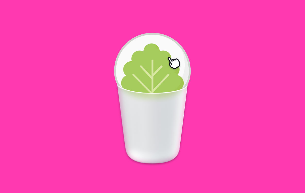 Come disinstallare Mochi Cards su Mac
