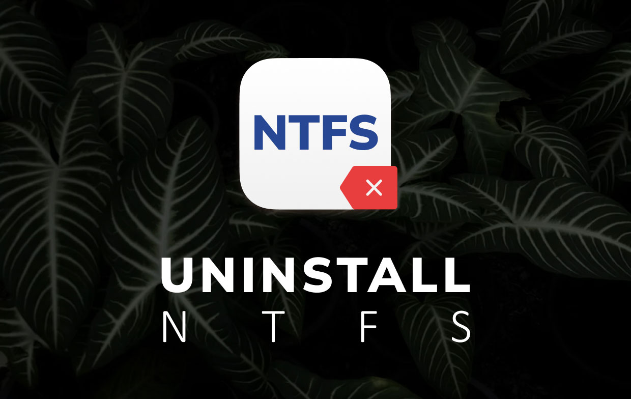 Disinstallare NTFS per Mac