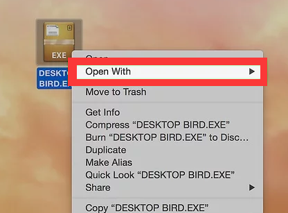 Eseguire un file EXE sul Mac
