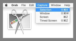 Usa lo strumento Cattura schermo per copiare e scaricare l'immagine da internet su mac