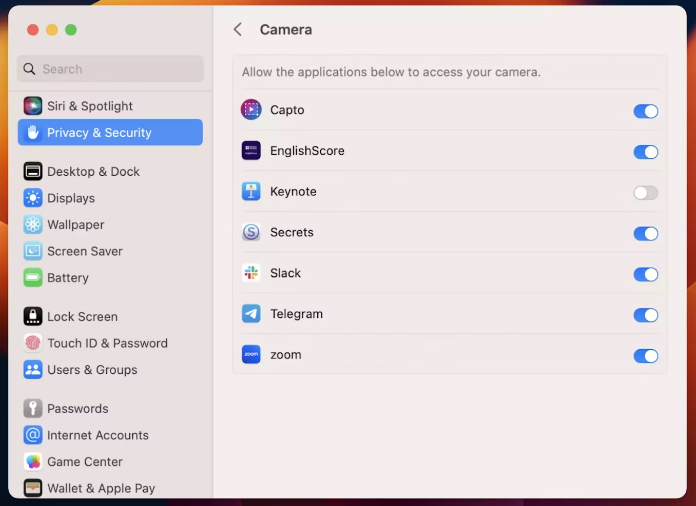 Correggi il video disattivato di Photo Booth su Mac