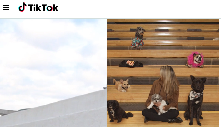 Piattaforma di streaming di giochi online gratuita - TikTok