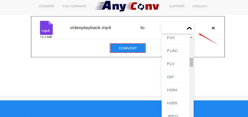 Convertitore DAT online AnyConv