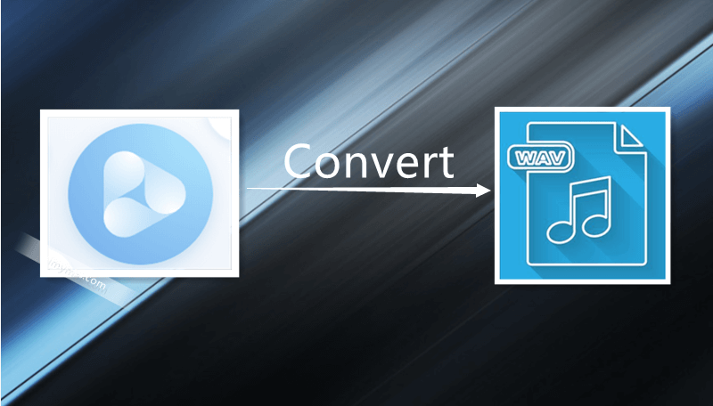 Converti video in WAV