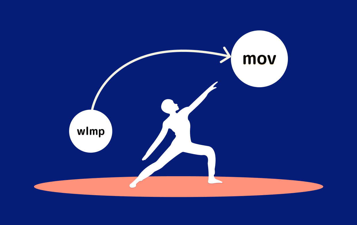 Come convertire WLMP in MOV