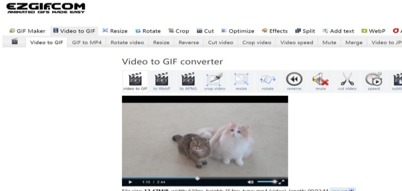 Convertitore online da FLV a GIF