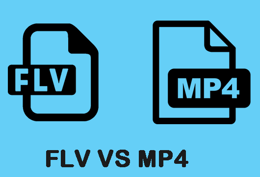 FLV contro MP4