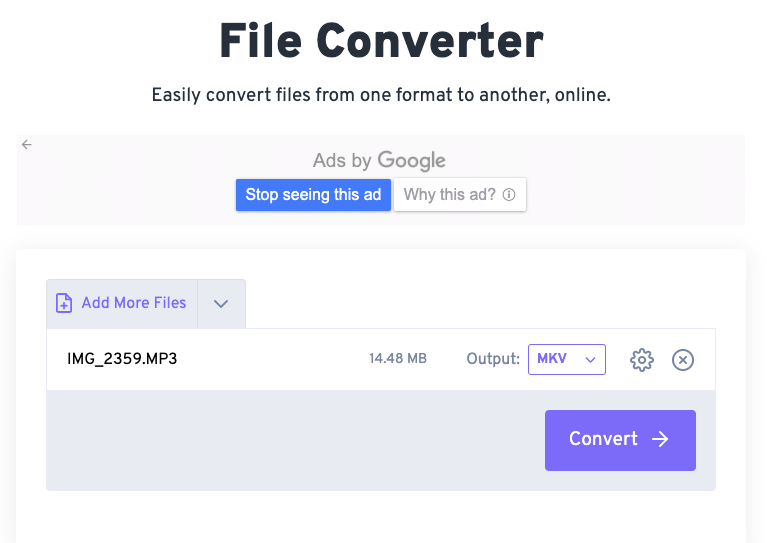 Converti MP3 in MKV con FileConverter