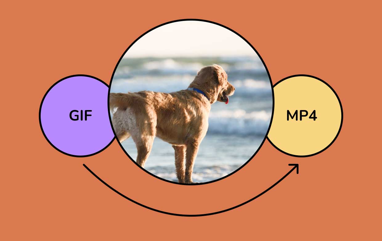 Come convertire GIF in MP4