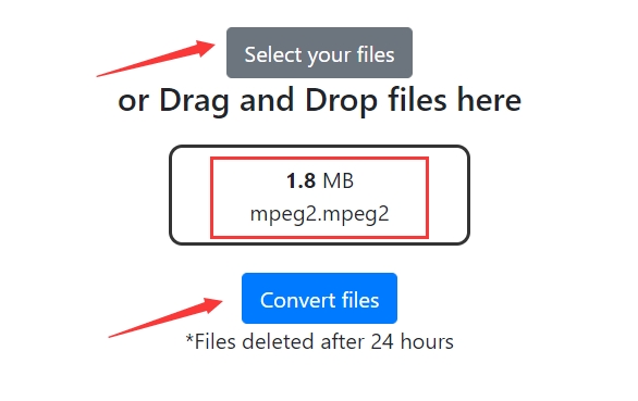 Converti immediatamente MPEG2 in MP4