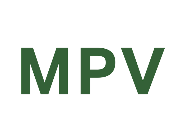 Il miglior convertitore MPV