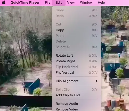 Usa QuickTime per convertire MOV
