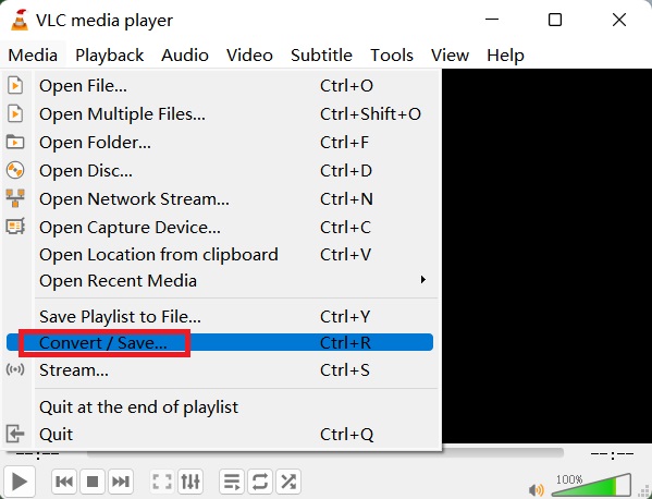 Usa VLC Media Player per convertire MP4 in TS