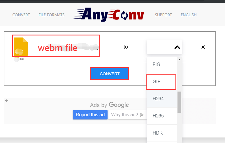 Converti WebM in GIF con qualsiasi conv