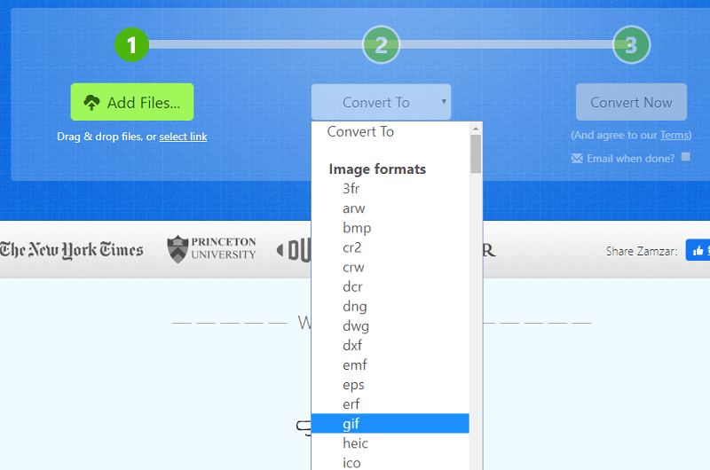 Converti WebM in GIF con Zamzar